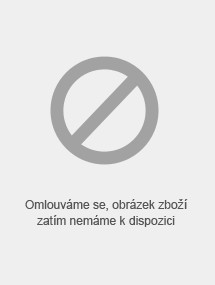 Obálka titulu Ztracen v džungli