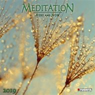 Meditation 2019