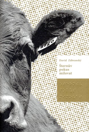 Šternův pokus milovat koupíte na Kosmas.cz