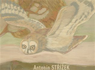 Antonín Střížek koupíte na Kosmas.cz