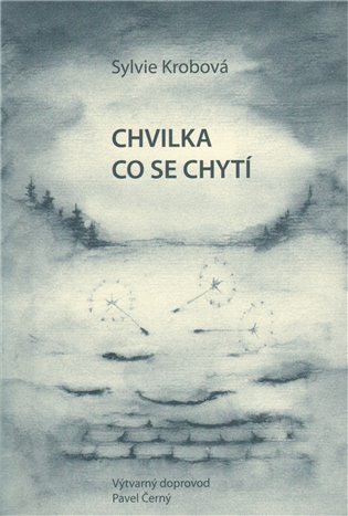 Chvilka co se chytí koupíte na Kosmas.cz