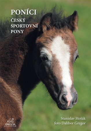 Poníci – český sportovní pony