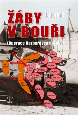 Žáby v bouři koupíte na Kosmas.cz