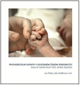 Psychosociální
 aspekty v současném
 českém porodnictví