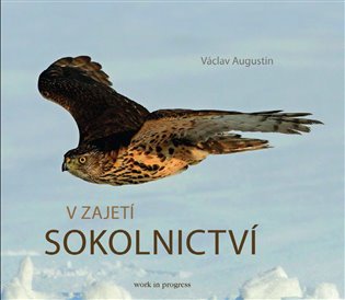 V zajetí sokolnictví