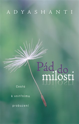 Kniha Pád do milosti -- Cesta k vnitřnímu probuzení - [E-kniha]