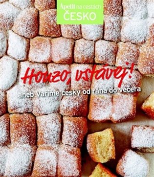 Kniha Honzo, vstávej!