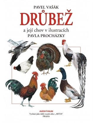 Drůbež a její chov