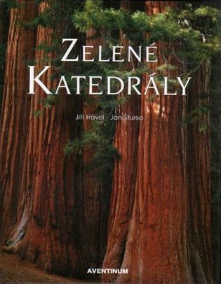 Zelené katedrály koupíte na Kosmas.cz