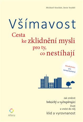 Všímavost
