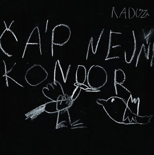 Kniha Čáp nejni kondor