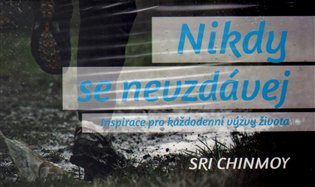 Nikdy se nevzdávej / Inspirace pro každodenní výzvy života - karty koupíte na Kosmas.cz