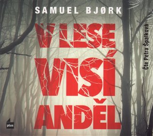 V lese visí anděl