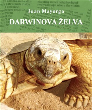 Darwinova želva koupíte na Kosmas.cz