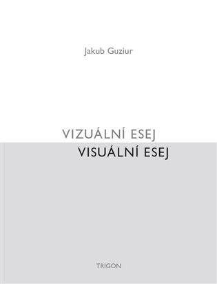 Vizuální esej / Visuální esej