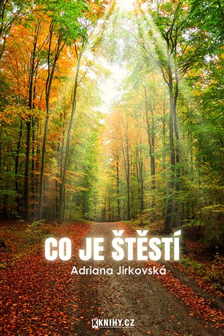 Co je štěstí
