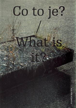 Kniha Co to je? / What is it? - Designblok Book 2016