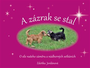 A zázrak se stal: O síle našeho záměru a nádherných setkáních koupíte na Kosmas.cz