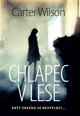 Chlapec v lese koupíte na Kosmas.cz