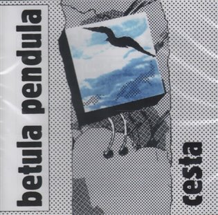 Kniha Cesta