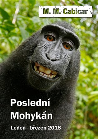 Poslední Mohykán