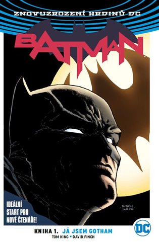 Batman: Já jsem Gotham koupíte na Kosmas.cz