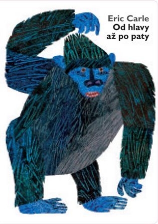 Od hlavy až po paty koupíte na Kosmas.cz