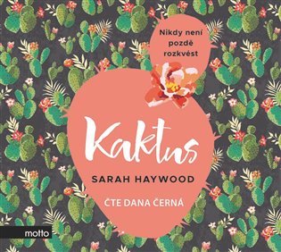 Kaktus koupíte na Kosmas.cz