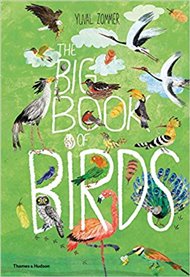 Big Book of Birds - Yuval Zommer
