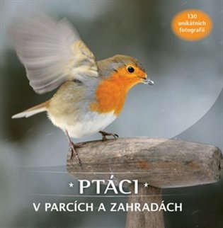 Ptáci v parcích a zahradách. 130 unikátních fotografií koupíte na Kosmas.cz