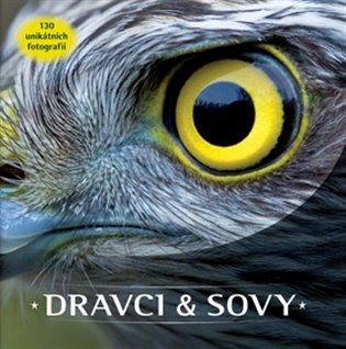 Dravci a sovy: 150 unikátních fotografií koupíte na Kosmas.cz