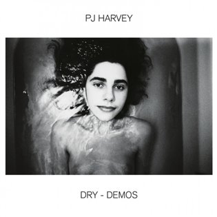 Kniha PJ Harvey: Dry-Demos
