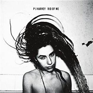 Kniha Pj Harvey: Rid Of Me LP