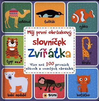 Kniha Můj první obrázkový slovníček