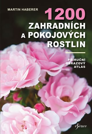 1200 zahradních a pokojových rostlin koupíte na Kosmas.cz