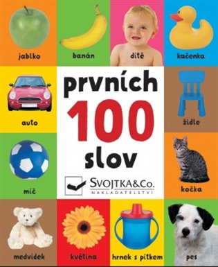 Kniha Prvních 100 slov