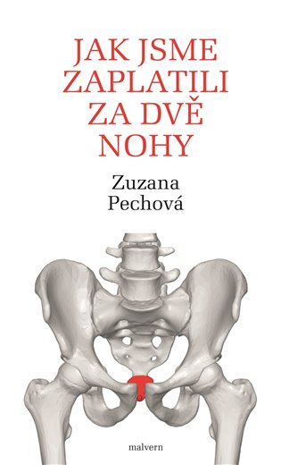 Jak jsme zaplatili za dvě nohy (Defekt) koupíte na Kosmas.cz