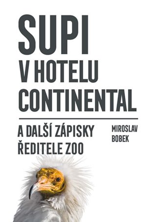 Supi v hotelu Continental koupíte na Kosmas.cz