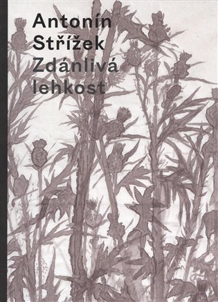 Zdánlivá lehkost