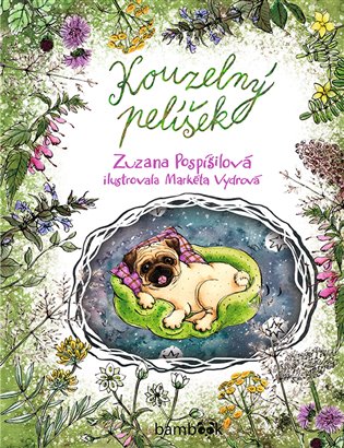 Kouzelný pelíšek koupíte na Kosmas.cz