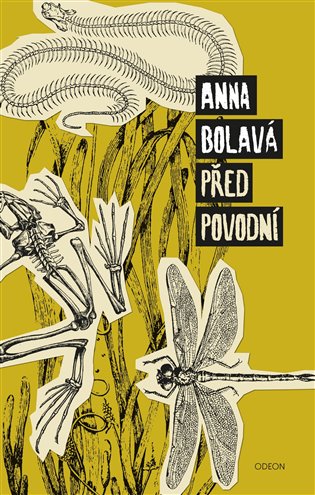 Kniha Před povodní - [E-kniha]