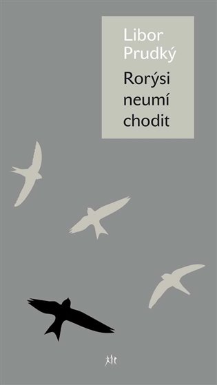 Rorýsi neumí chodit koupíte na Kosmas.cz