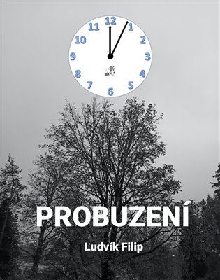 Probuzení