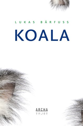 Koala koupíte na Kosmas.cz