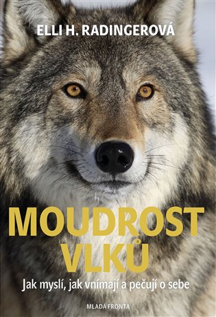 Moudrost vlků koupíte na Kosmas.cz