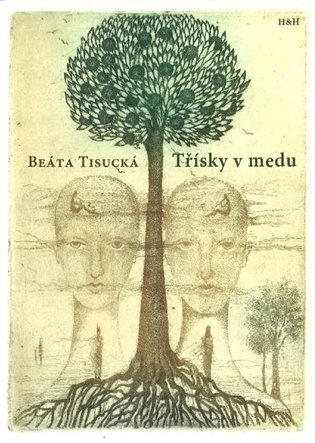 Třísky v medu koupíte na Kosmas.cz