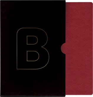 Kniha Bible překlad 21. století XL