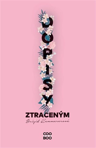 Dopisy ztraceným koupíte na Kosmas.cz