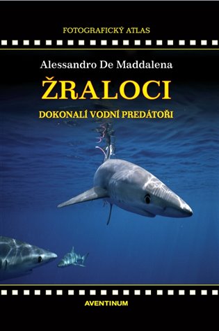 Žraloci koupíte na Kosmas.cz