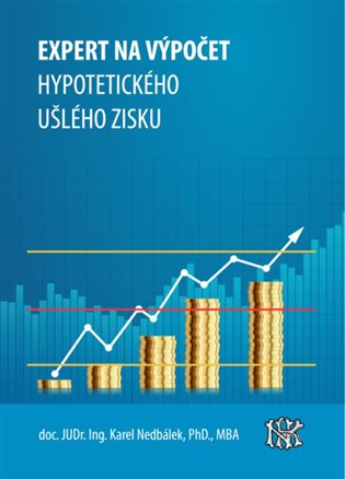 Expert na ušlý zisk, hypotetický zisk a újmu
